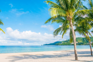 เตรียมจอง "เที่ยวปันสุข" ที่เกาะเสม็ด ก่อนเปิด 1 กรกฎาคมนี้