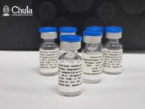 ประเทศไทยมีลุ้นได้ฉีดวัคซีน mRNA จากจุฬา