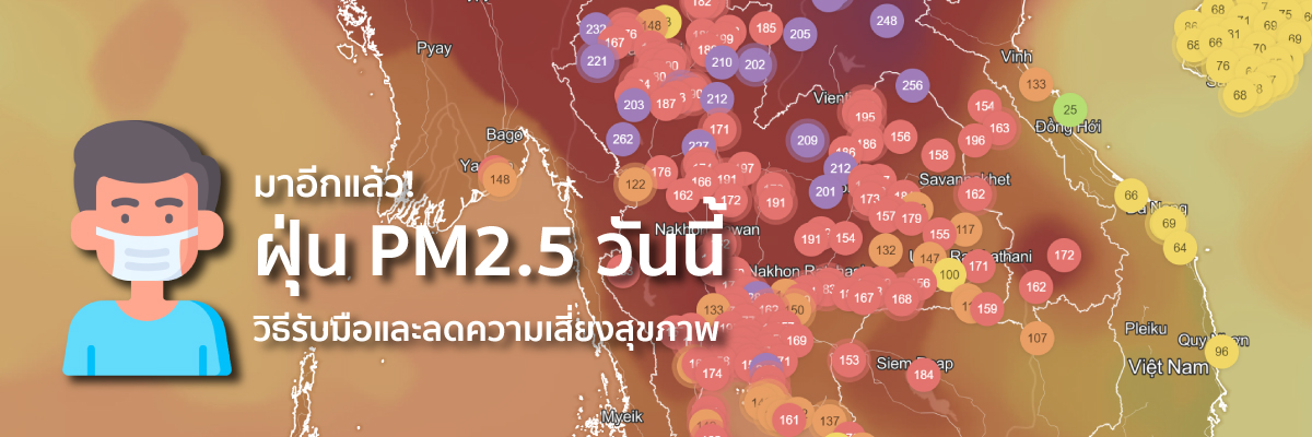 pm255